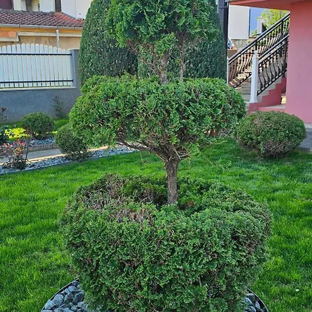 Lona