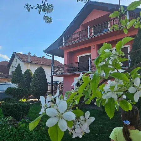 Lona Apartament Golubăţ